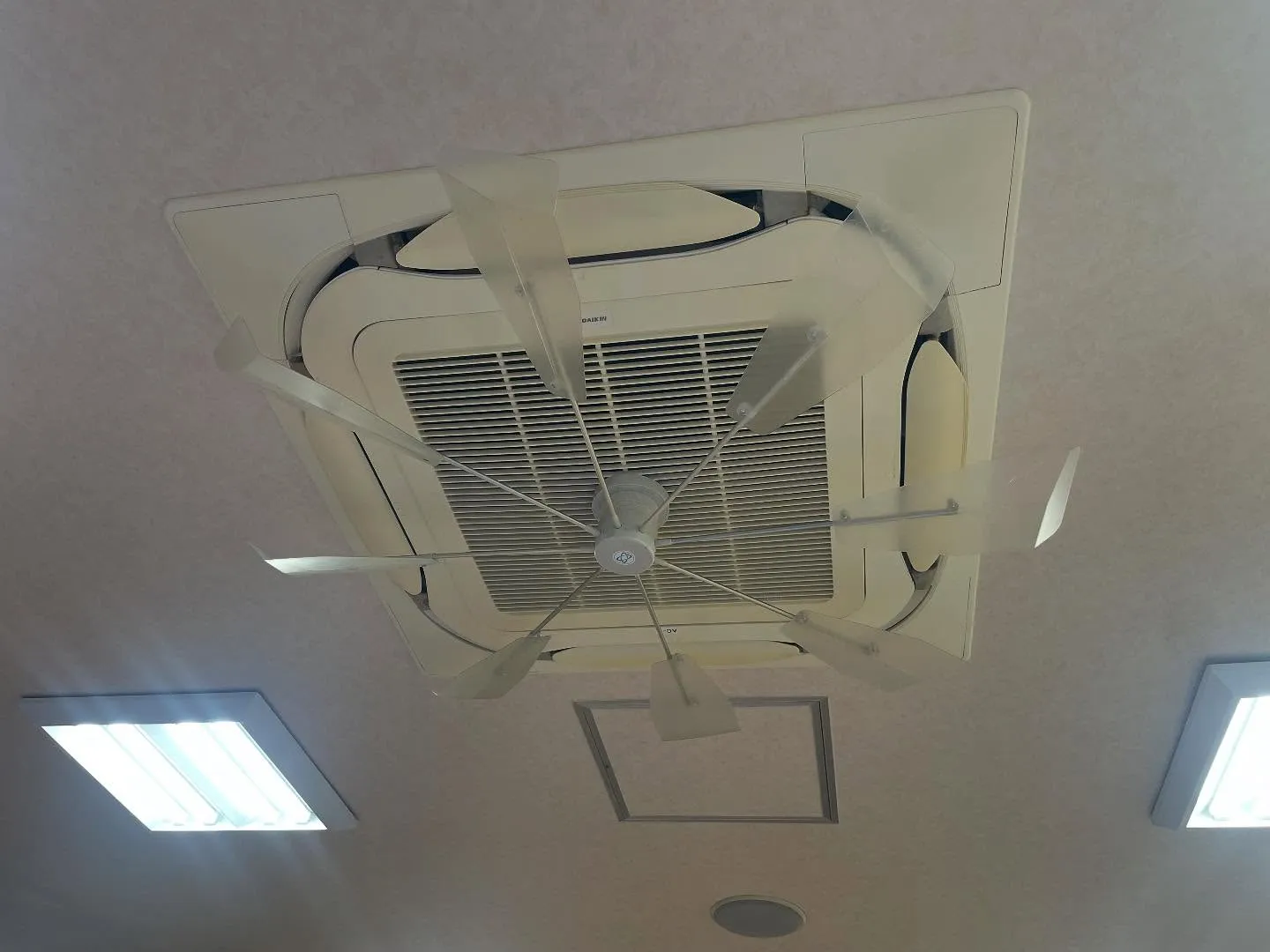 大分県→宮城県にやって来ました♪