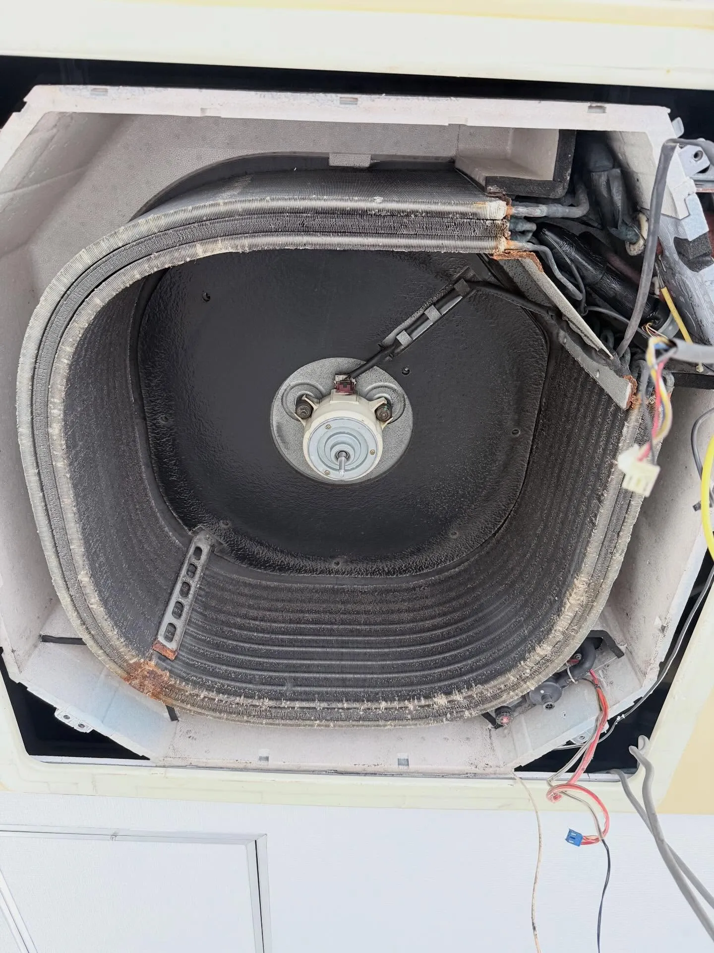 明けましておめでとう御座います🥳今年も宜しくお願い致します🙇