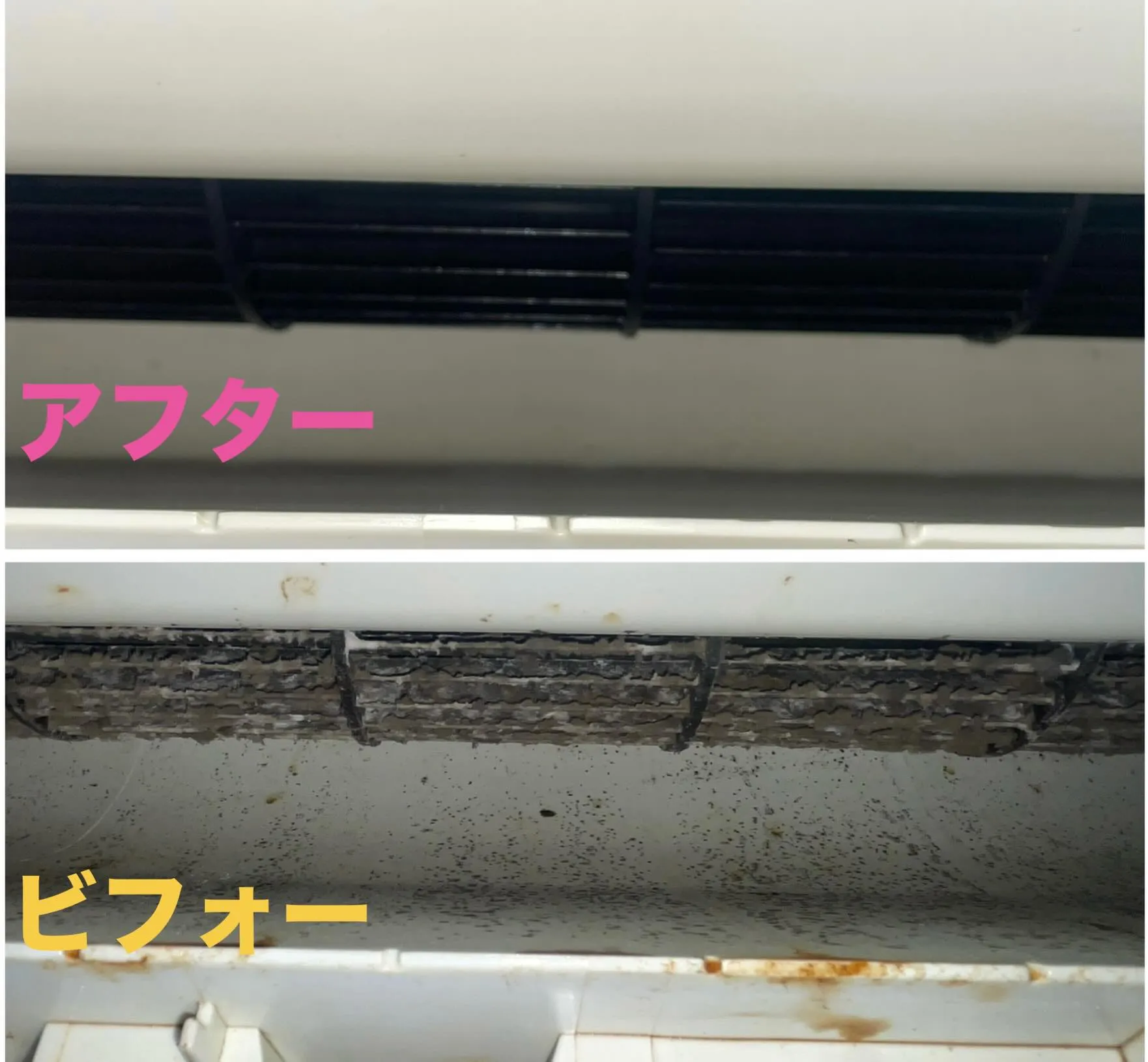 もうすぐ梅雨も明けたら、暑くなるかと思います💦
